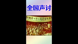 共产党大会通过决议：打倒刘少奇