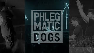 Phlegmatic Dogs @ Sziget 2022