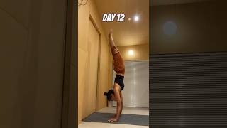 핸드스탠드 물구나무서기  #아사나 #요가 #handstandworkout