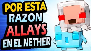 Por Esta Razón los Allay ESTABAN en el Infierno de Minecraft!