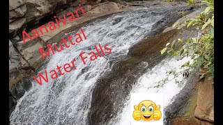 Aanaivari Muttal Water Falls | Near Attur | Salem-Ulundurpettai Hwy | Travel Vlog |English Subtitle