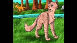 Warrior Cats 6 Katzen Mit Superkräften