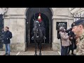 Dont touch tour guide warns the tourist carry sword #kingsguard