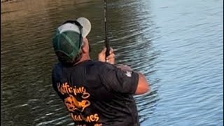 Review of new blue water series rods by madkatz and vip and dragon rod!