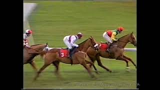 1988 Sheila's Cottage Handicap Chase