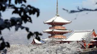 乱れ雪　中野有希乃