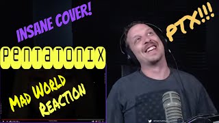 [Fab 5 Stuns Again] Pentatonix - Mad World Reaction | Tears For Fears Cover | TomTuffnuts Reacts