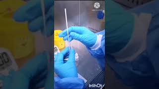 Accu Tell test rápido SARS CoV 2 Antigen Rapid Test Video 1