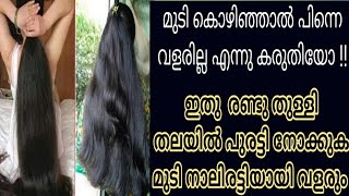 മുടി കൊഴിഞ്ഞാൽ പിന്നെവളരില്ല എന്നുകരുതിയോ!രണ്ടു തുള്ളി തലയിൽ പുരട്ടിയാൽ മുടി നാലിരട്ടിയായി വളരും 🔥