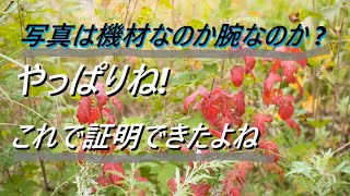 カメラ性能より腕なのか 宇宙人のアマチュアのカメラ小僧が感じた事を言わせてください NO477