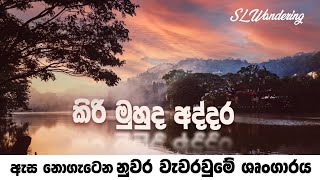 නුවර වැව රවුමේ අසිරිය | Kandy Lake