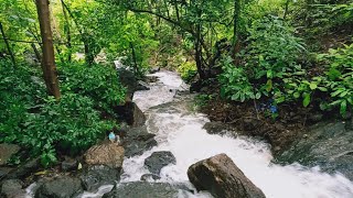 Cheruvathur Water fall..     #waterfall #nature #travel #naturephotography #photography #waterfalls