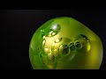 The Sun of the Island by Rudolf Burda - Velaa Private Island x KodlContemporary