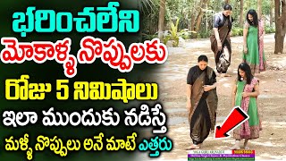 రోజు 2 ఆకులు తింటే మోకాళ్ళ నొప్పులు తగ్గి తొక్కుడు బిళ్ళ ఆడేస్తారు | Knee Pain Relief | Aruna Yoga