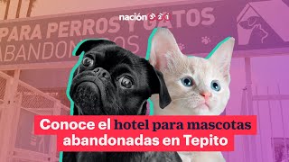 Conoce el hotel para mascotas abandonadas en Tepito