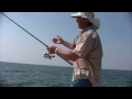 saltwater jigging for striper and bluefish using bucktails and the boa jig r