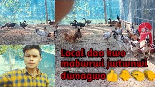 ||Local dao kwo bwrwi dwnw||                🐥🐤Bodo Faultriy fram|||