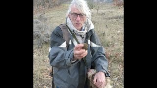Bernard Pelurson, ses chiens et les truffes