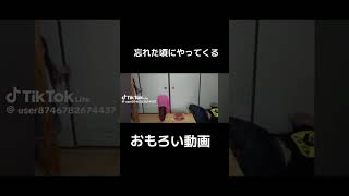 娘に撃たれるお父さん #スイカ #輪ゴム #破裂 #爆笑 #爆笑動画