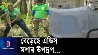 নগরীর ঝুঁকিপূর্ণ এলাকা চিহ্নিত করতে না পারায় বাড়ছে রোগীর সংখ্যা || Barisal Dengue