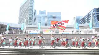 東京よさこいチーム Summer Zipper【4K】／ハマこい部門／ハマこい2022