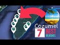 7 Best Beaches in Cozumel Near Cruise Port