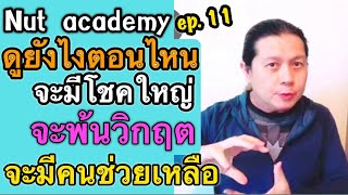 นิทานชาติเวร ทำไมราหูเจอพระเสาร์จะมีโชคใหญ่ มีเคราะห์จะพ้นเคราะห์ | Nut academy | ep. 11 by ณัฐ