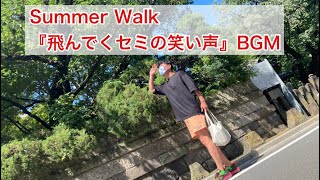 【Summer Walk〜喫茶夏休み】飛んでくセミの笑い声☀️BGM                                               ナツイチ721(2021/07/21)