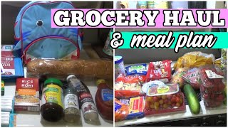 Walmart & Aldi Grocery Haul & Meal Plan