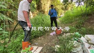 野樵國際旅行社 樟之細路 220公里 探路一