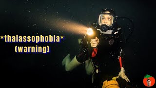 47 Meters Down (2017) explained