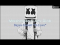 Marshmello & Amr Diab Bayen Habeit "In Love" (Lyric Video)
