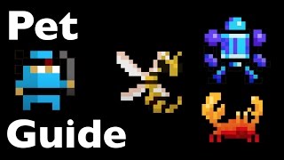 RotMG - Pet guide