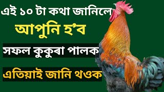 এই ১০ টা কথা জানিলে অপুনি হ'ব সফল কুকুৰা পালক(Local chicken farming)