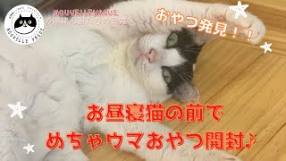 【保護猫の日常】のほほんとお昼寝中の猫たちが「おやつ」を見つけた時のリアクション