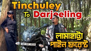 TINCHULEY TO DARJEELING | LAMAHATTA PINE FOREST | GUMBADARA VIEWPOINT