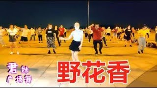 劲爆健身操《野花香》DJ何鹏版，大气豪迈的节奏，歌醉舞美！