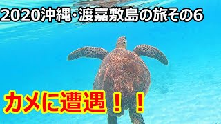 沖縄・那覇・渡嘉敷島の旅　その6　渡嘉志久ビーチでウミガメに遭遇した～！！　慶良間諸島　シュノーケリング okinawa sea turtle