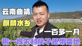 雲南曲靖麒麟水鄉，1500塊租一棟農村房子，還帶菜地，看看啥樣的【雲南阿海】