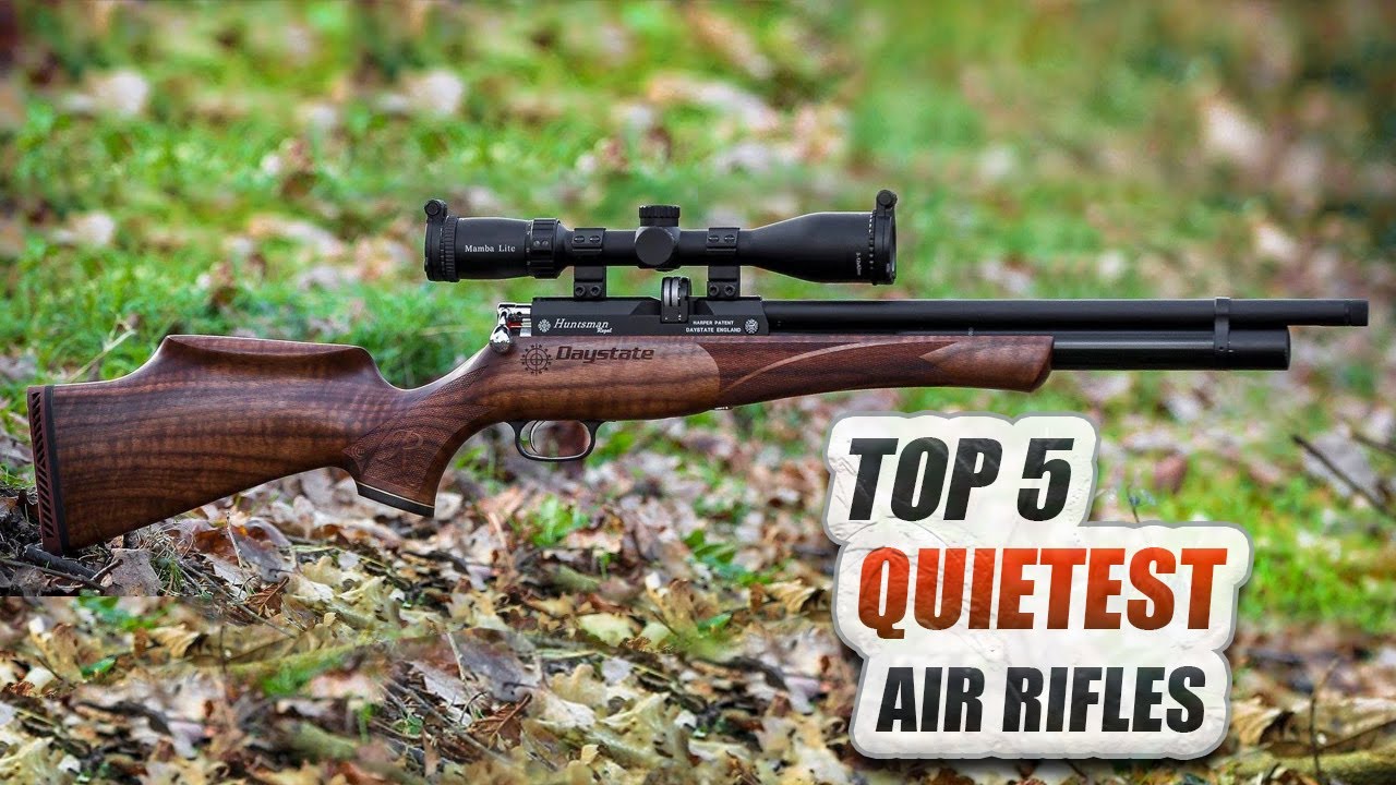 Top 5 Quietest Accurate Air Rifles - Madman Review - YouTube