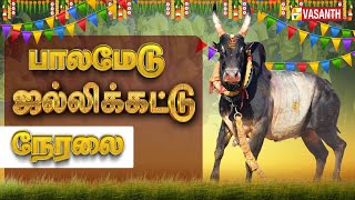 🔴LIVE: Madurai Palamedu Jallikattu 2025 | மதுரை பாலமேடு ஜல்லிக்கட்டு நேரலை | Pongal 2025 |Vasanth TV