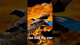 The Power Of Eagle Mindset - Best Motivational Video