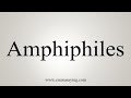 How To Say Amphiphiles