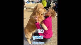 AKC Copper Classic Dog Show 1-25-25