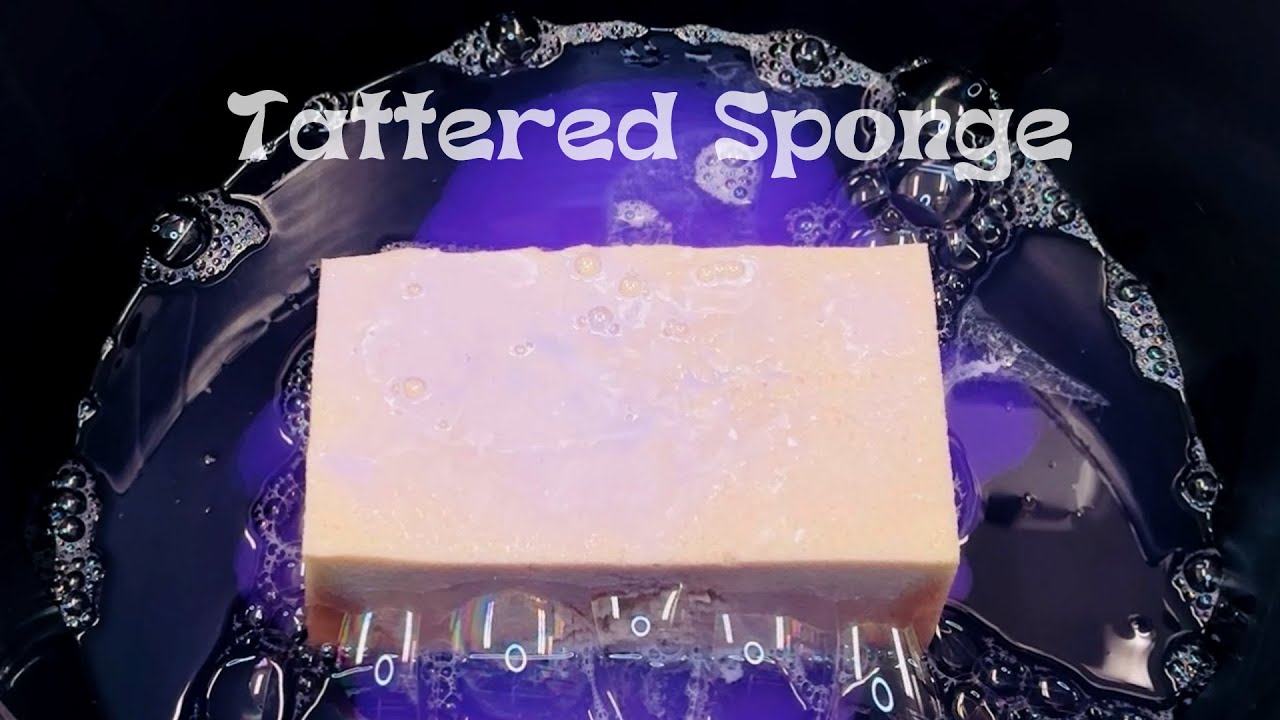 Asmr Sponge 640 Tattered Sponge Youtube