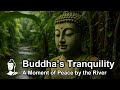 Serenity of Flute | Buddha’s Tranquility | A Moment of Peace by the River