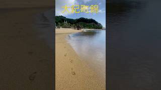 中山美穂さん💐曲。三重県度会郡大紀町錦向井ヶ浜　夏