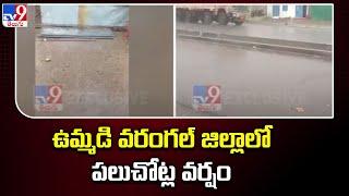 ఉమ్మడి వరంగల్ జిల్లాలో పలుచోట్ల వర్షం - TV9