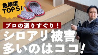 【プロ監修】シロアリ被害が多い場所TOP5！【対策の解説付き】