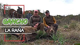 GANCHO LA RAÑA 2023  | C.D. MONTEROS DE POZOBLANCO #184